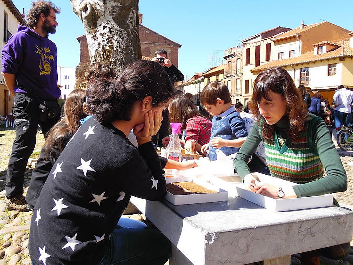Los niños toman la Plaza del Grano