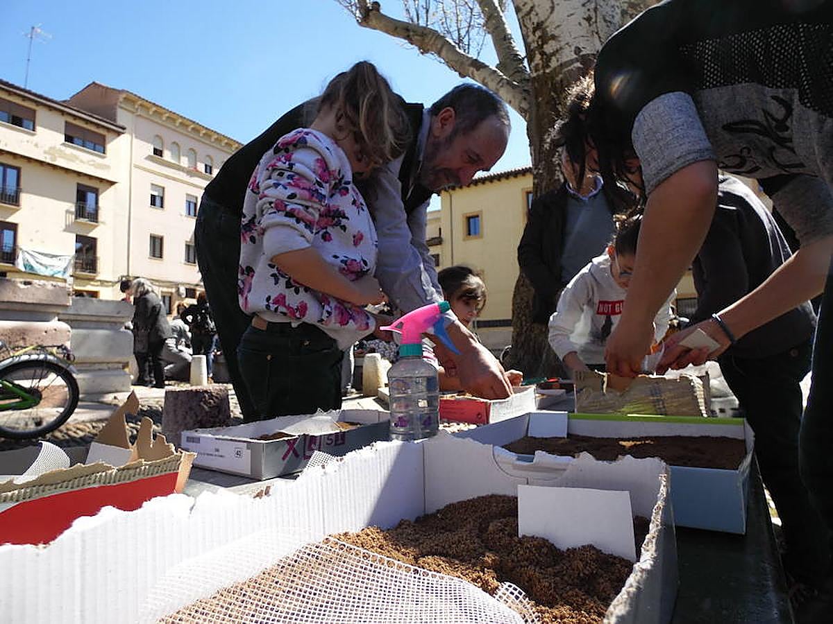 Los niños toman la Plaza del Grano