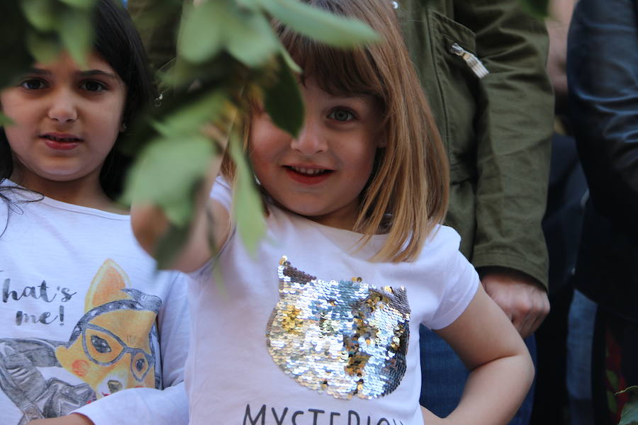 Procesión de las Palmas