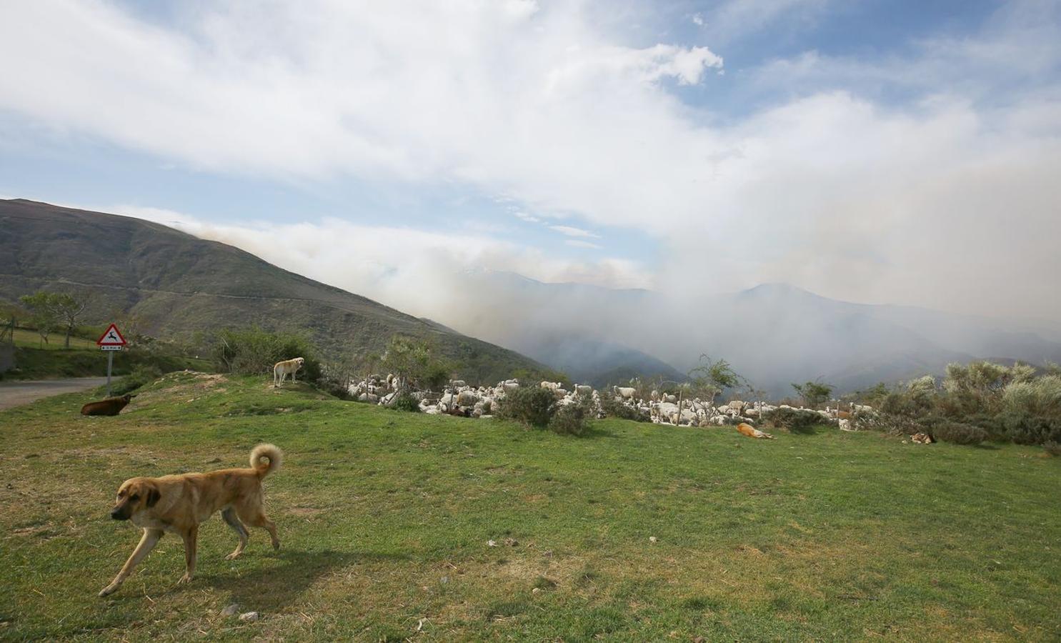 Incendio en el Bierzo