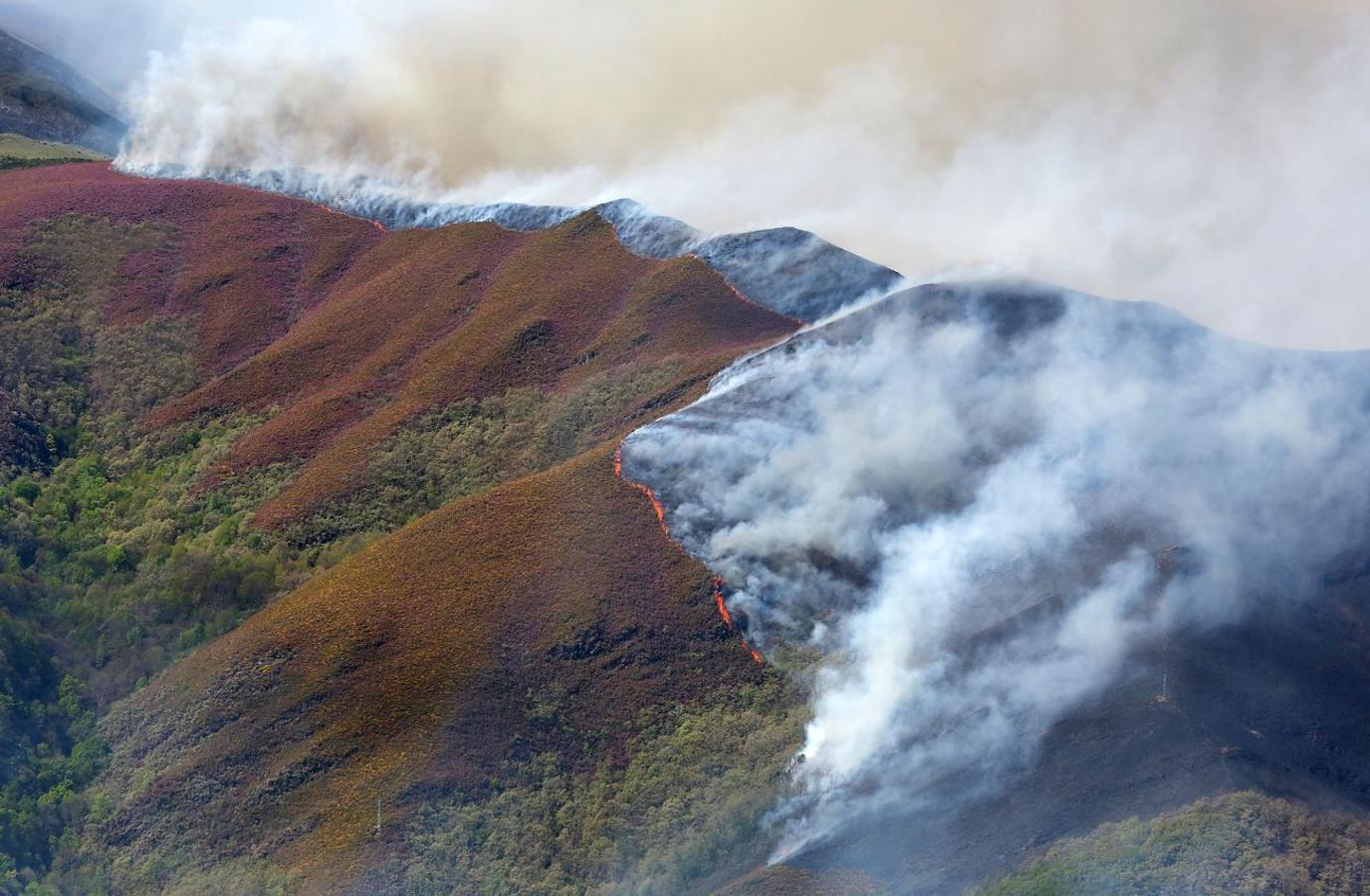 Incendio en el Bierzo