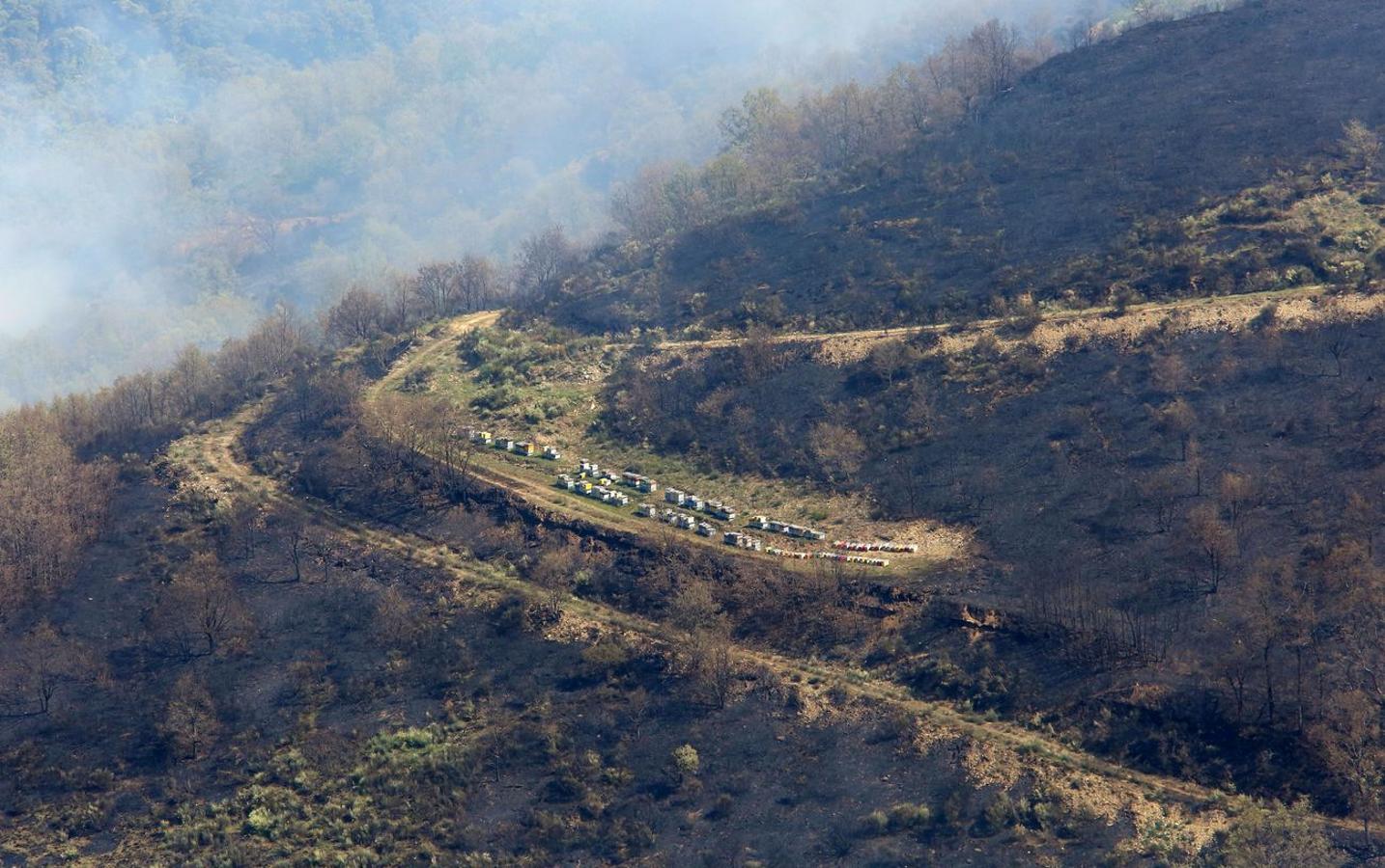 Incendio en el Bierzo