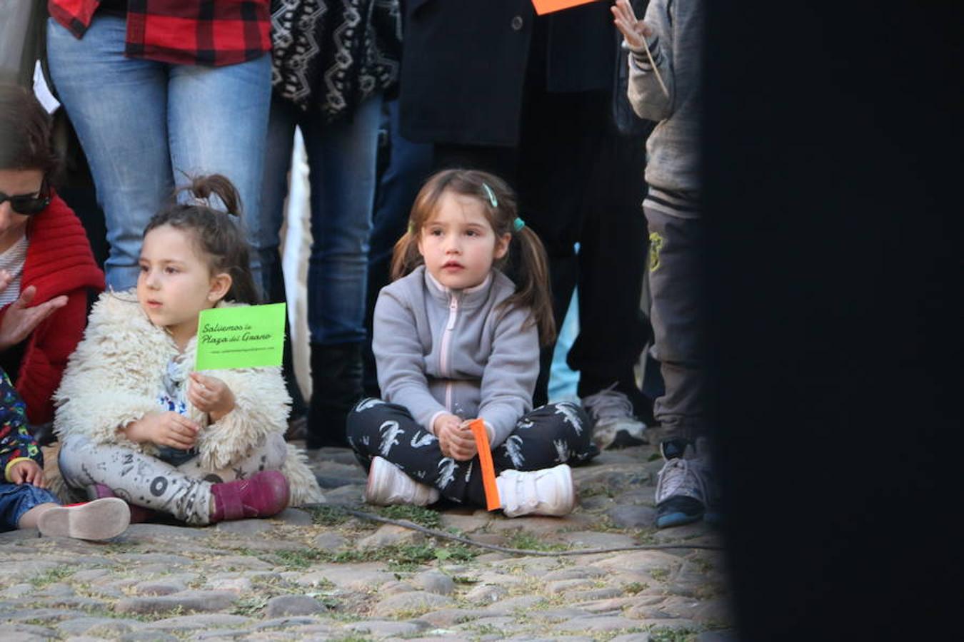 «Guardianes de la Plaza del Grano»