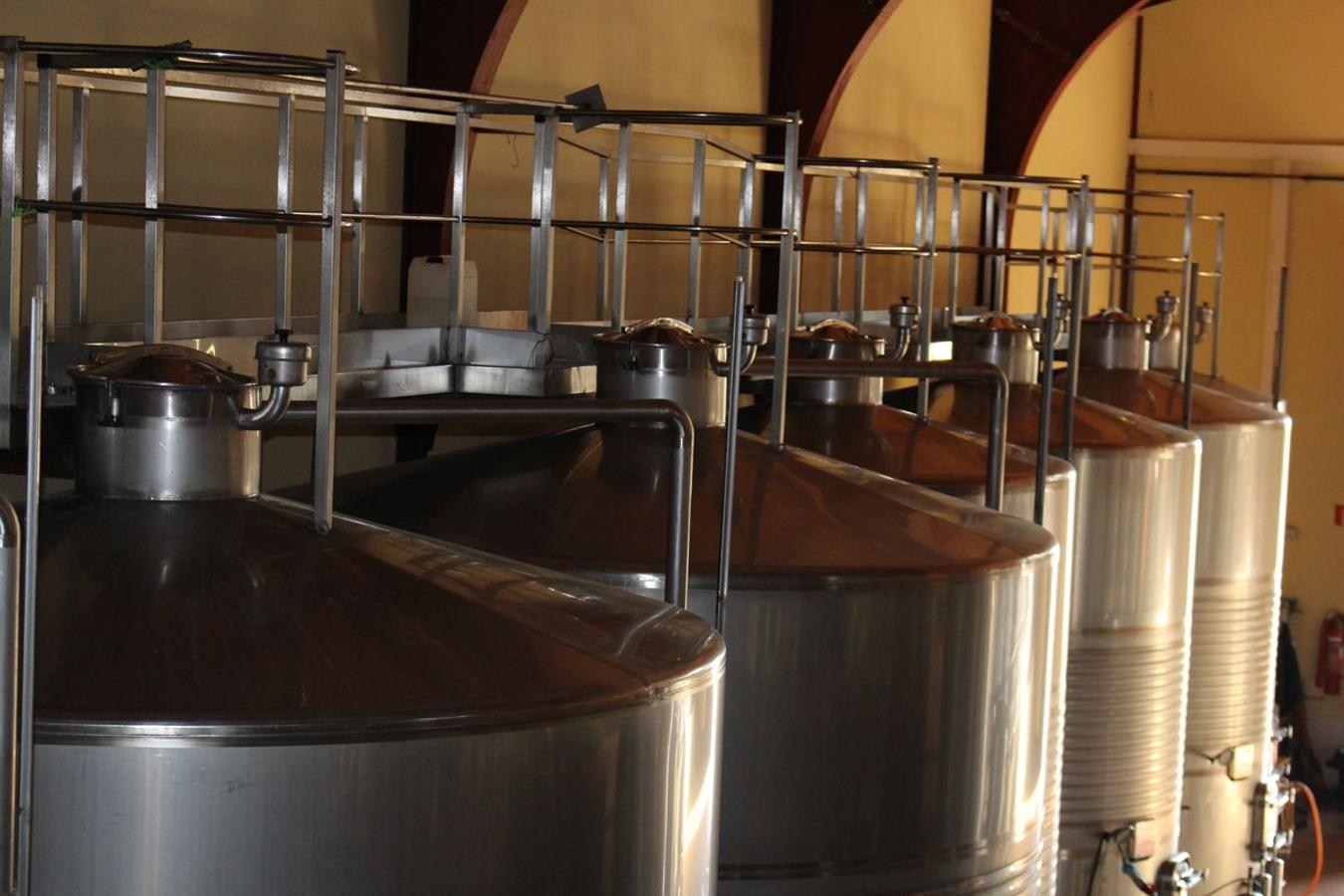 Cuarta generación, la misma pasión