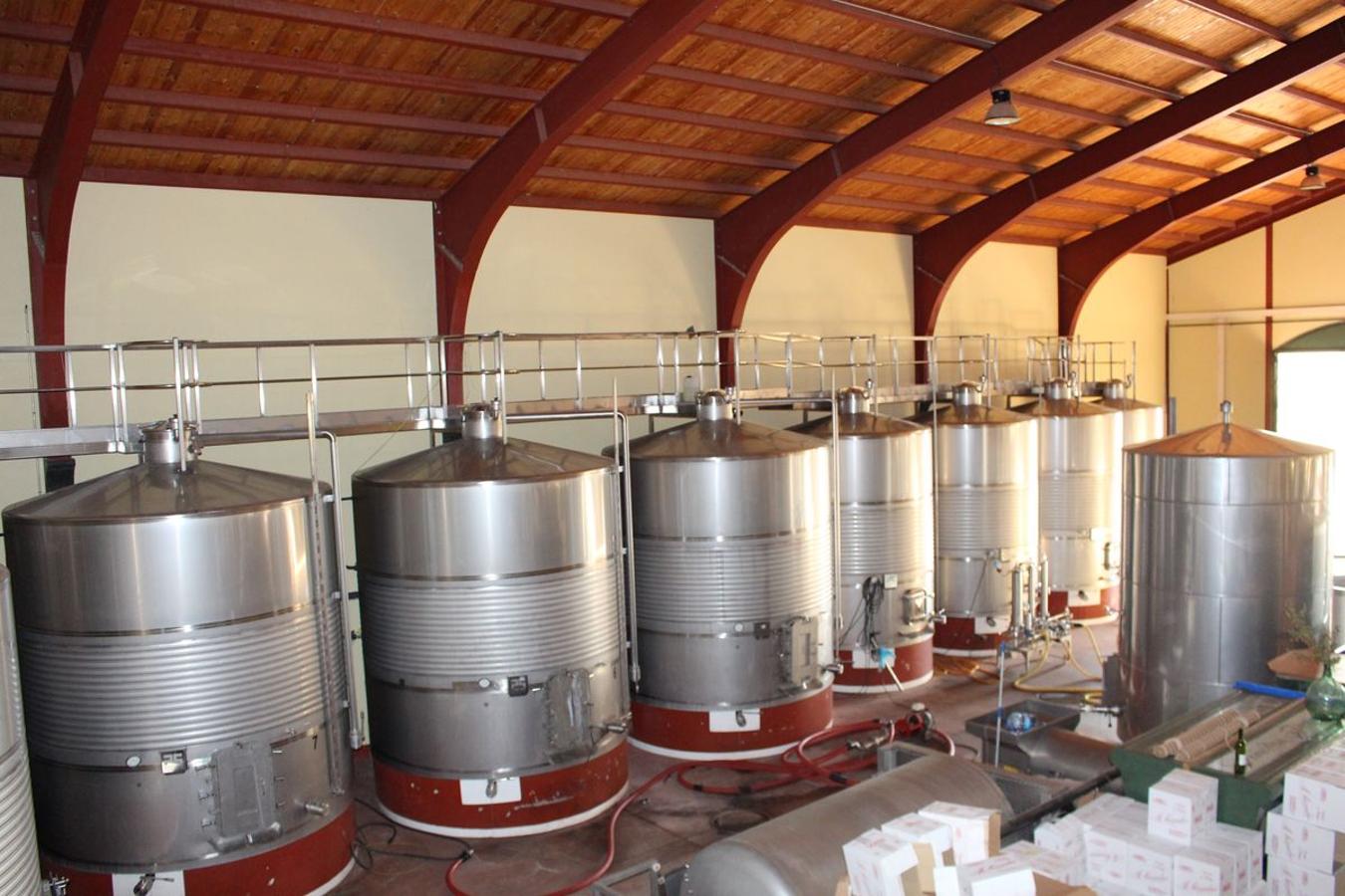 Cuarta generación, la misma pasión