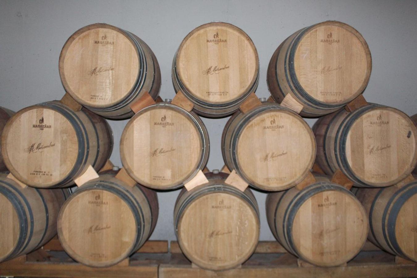 Cuarta generación, la misma pasión