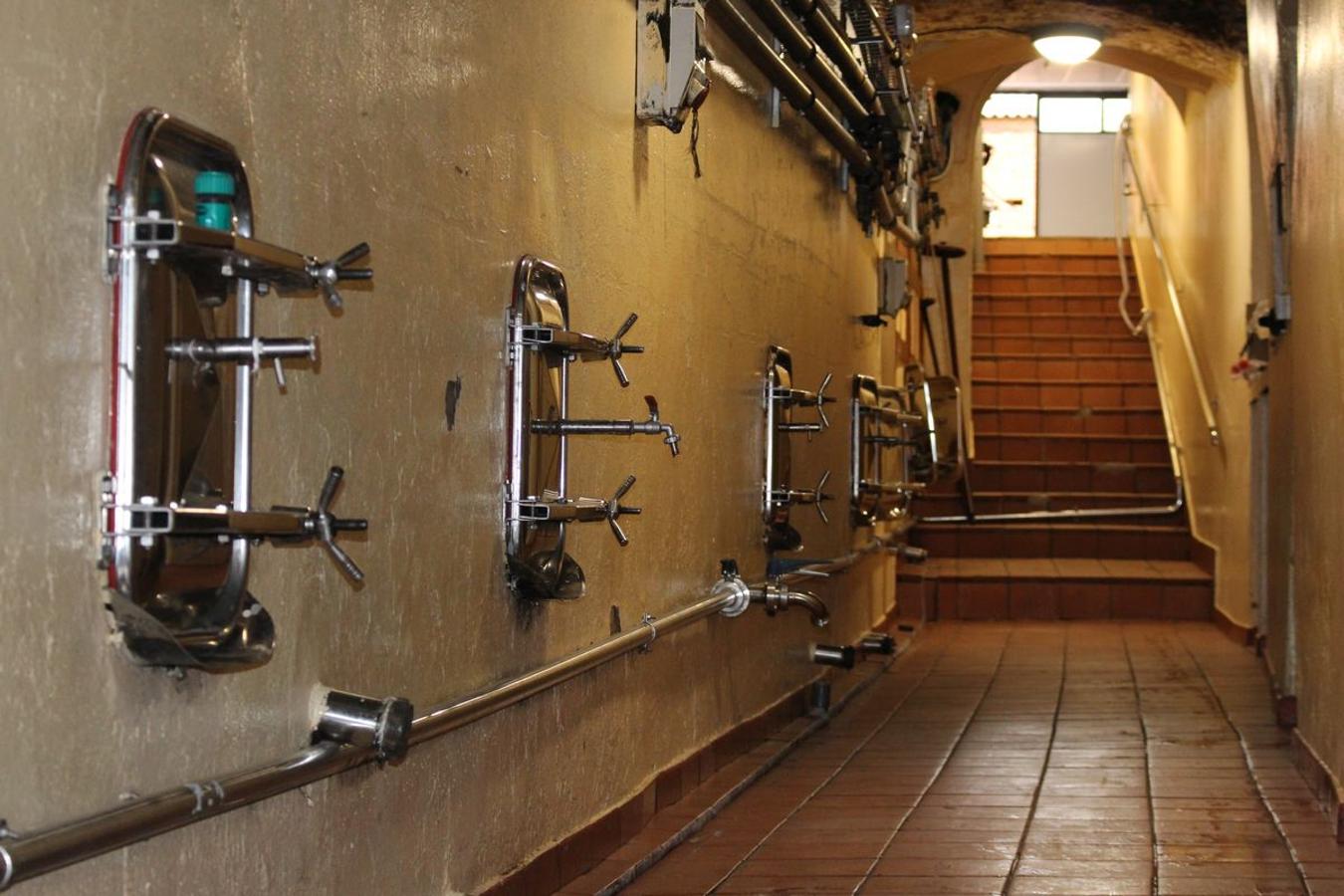 Tradición y saber hacer