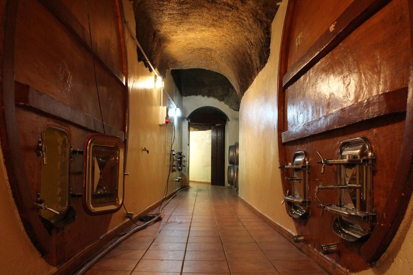 Tradición y saber hacer