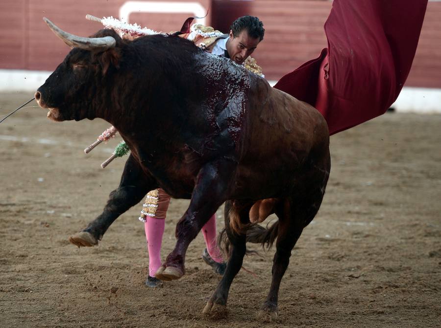 El torero español Iván Fandiño murió este sábado en el hospital de Mont-de-Marsan, en el suroeste de Francia, donde había ingresado tras sufrir una grave cornada durante una corrida en la localidad de Aire-sur-l'Adour, indicaron fuentes de los círculos taurinos. 