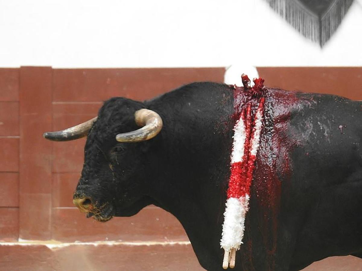 Las mejores imágenes de la corrida de rejones (I)