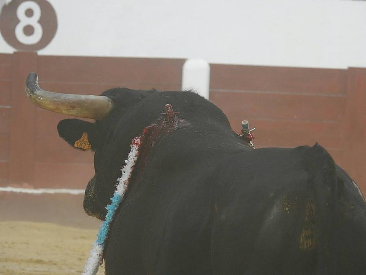 Las mejores imágenes de la corrida de rejones (I)