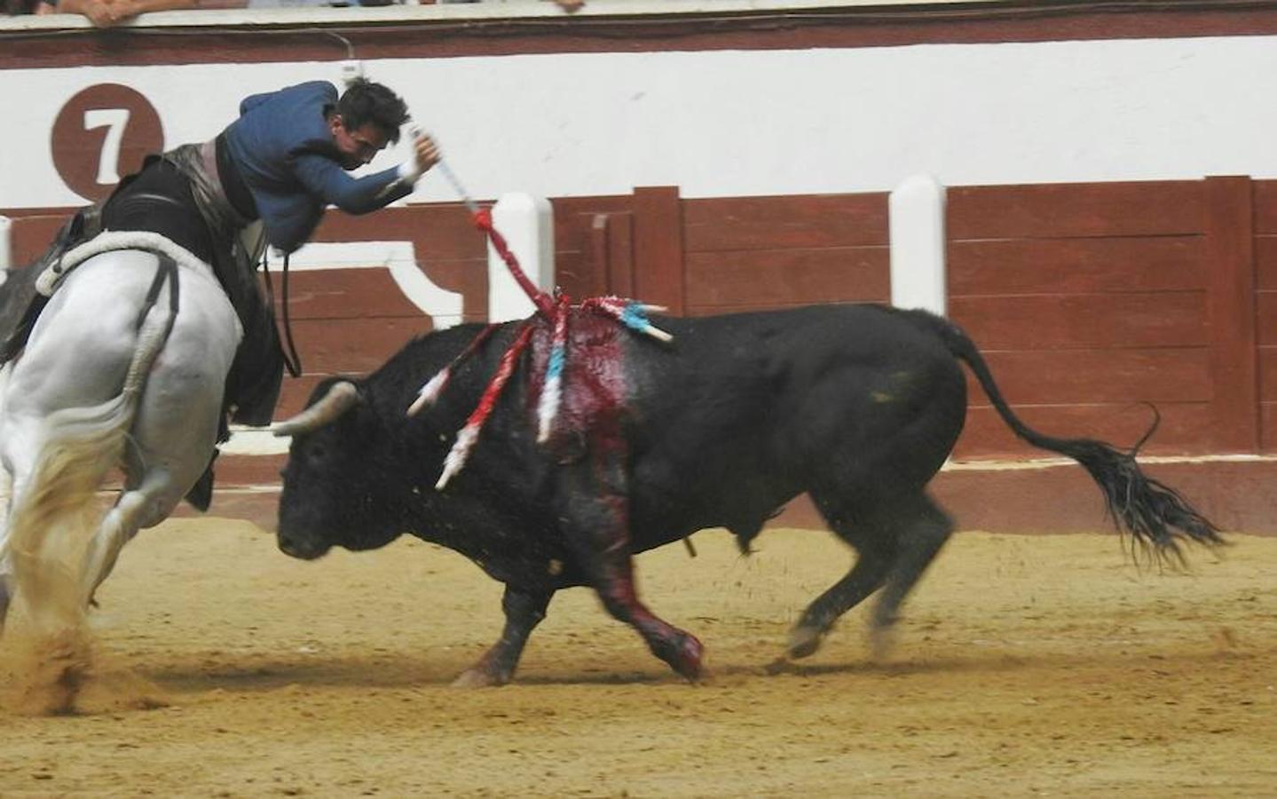 Las mejores imágenes de la corrida de rejones