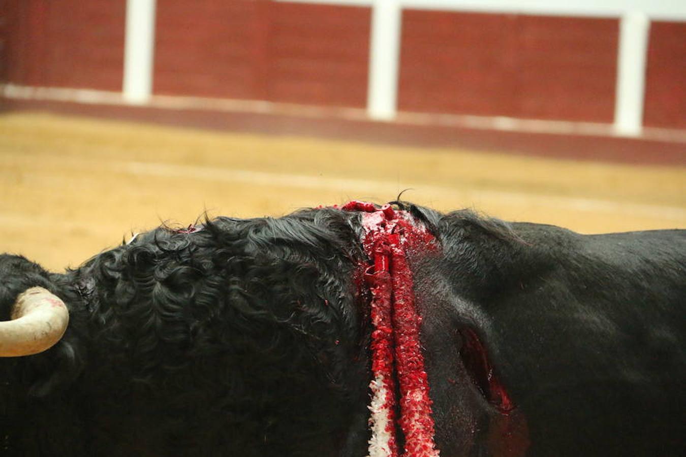 Las mejores imágenes de la corrida de toros de Fiestas de San Juan y San Pedro