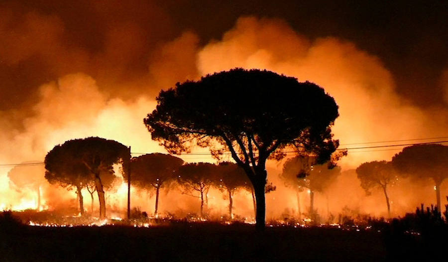 Las llamas ya han entrado en el Espacio Natural de Doñana y el fuego ha obligado a desalojar a más de 2.000 personas.