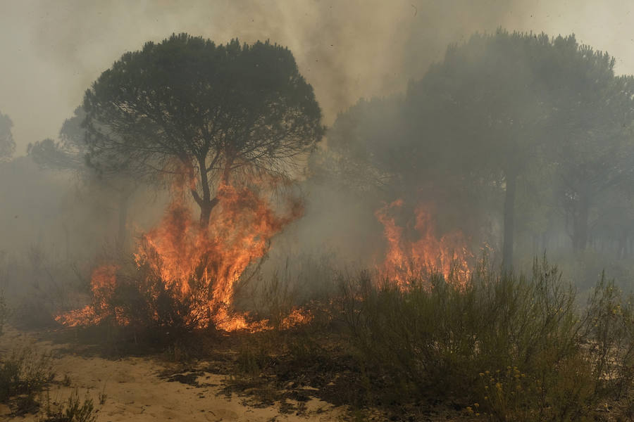 Las llamas ya han entrado en el Espacio Natural de Doñana y el fuego ha obligado a desalojar a más de 2.000 personas.