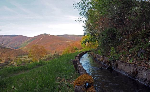 Camino Viejo de Rioseco.