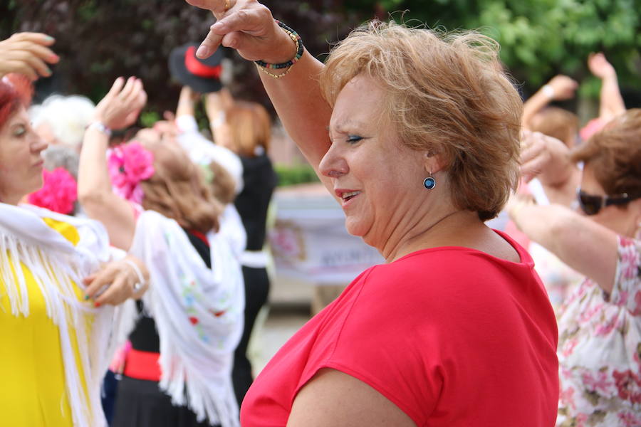 Ritmo flamenco en León