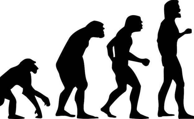 Siluetas de la evolución del mono al hombr. 