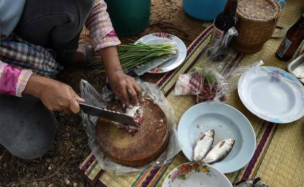 Pescado que provoca esta acción.