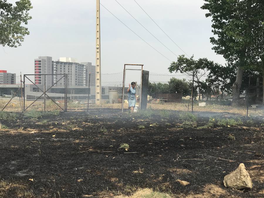 Imágenes del Incendio que amenazó el norte de León I