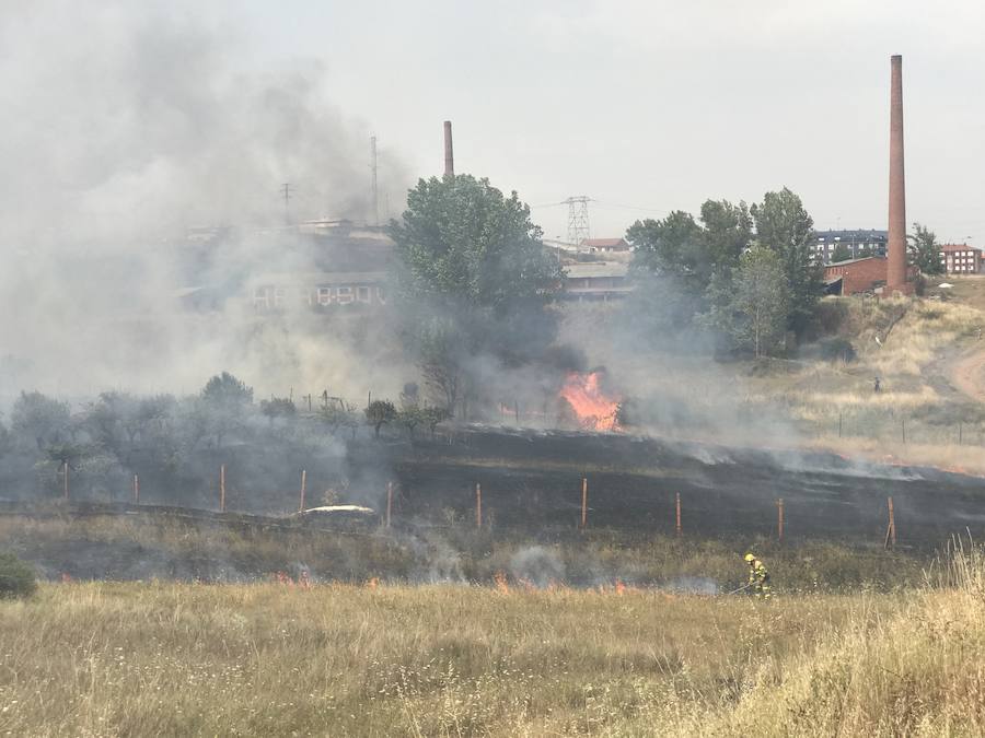 Imágenes del Incendio que amenazó el norte de León I