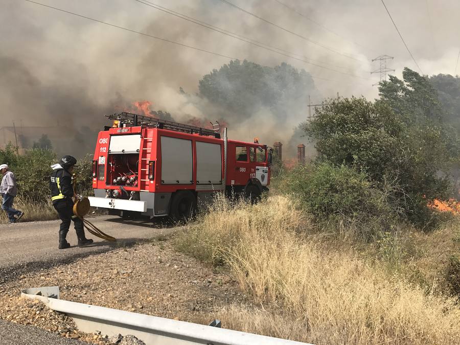 Imágenes del Incendio que amenazó el norte de León I