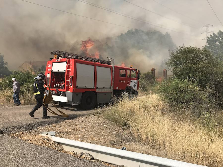 Imágenes del Incendio que amenazó el norte de León I