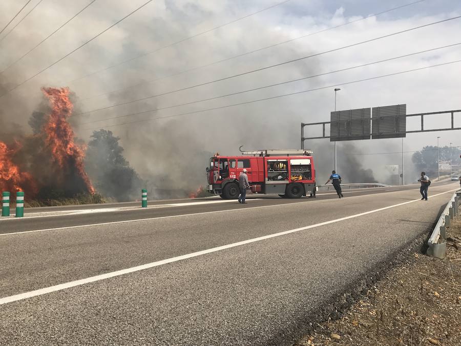 Imágenes del Incendio que amenazó el norte de León I