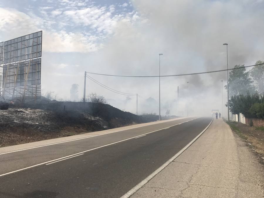 Imágenes del Incendio que amenazó el norte de León I