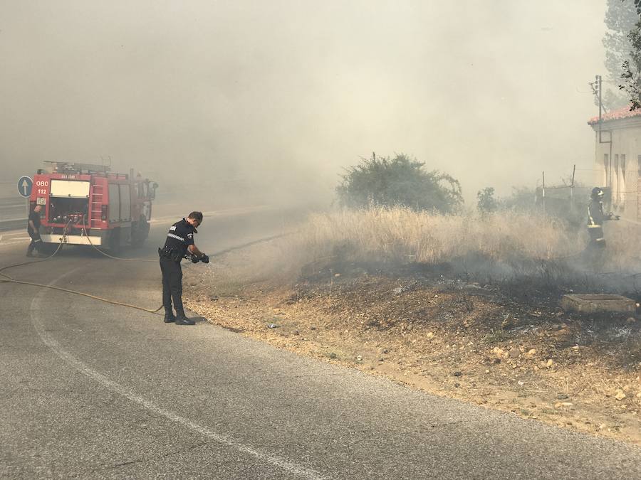 Imágenes del Incendio que amenazó el norte de León II