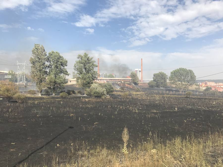 Imágenes del Incendio que amenazó el norte de León III