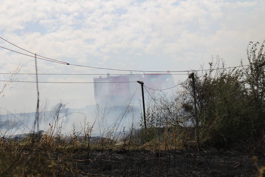 Imágenes del Incendio que amenazó el norte de León III