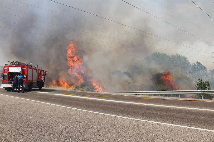 Imágenes del Incendio que amenazó el norte de León IV