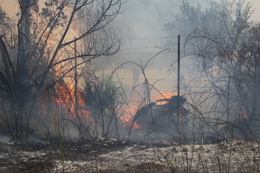 Imágenes del Incendio que amenazó el norte de León IV