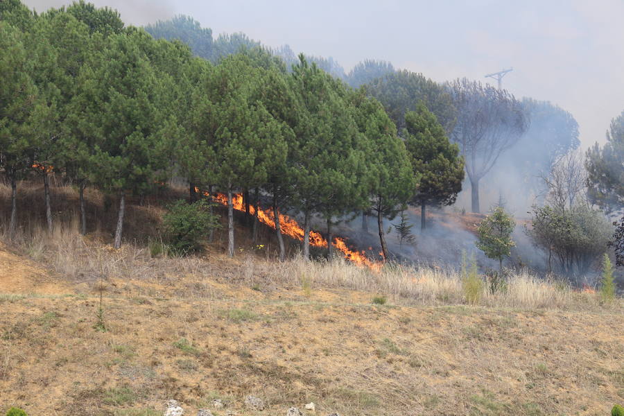 Imágenes del Incendio que amenazó el norte de León IV