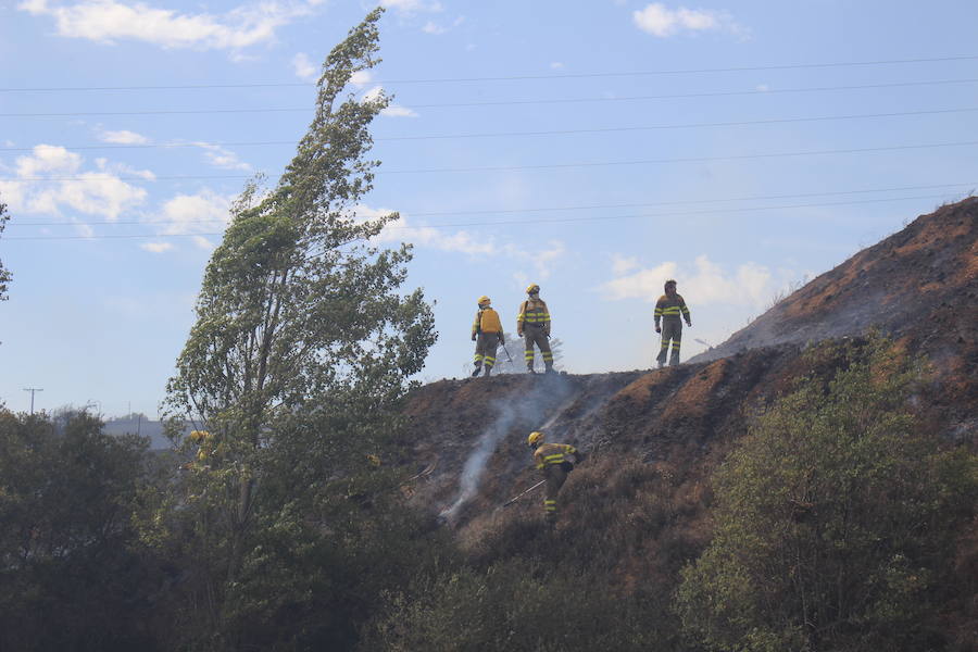 Imágenes del Incendio que amenazó el norte de León IV