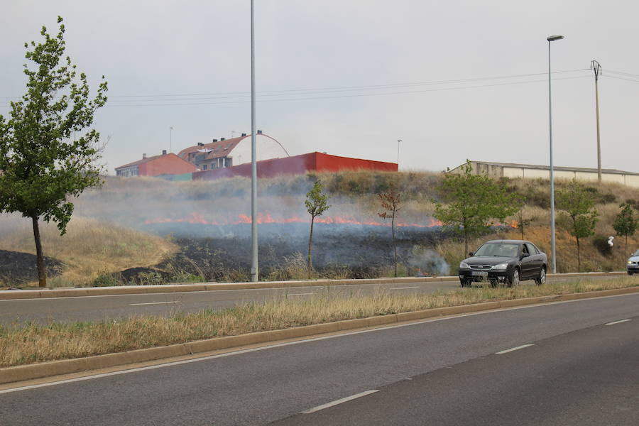 Imágenes del Incendio que amenazó el norte de León IV