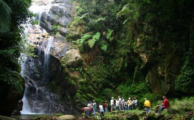 Imagen principal - Los alumnos de Peñacorada participantes en la operación Wallacea contemplan las cataratas de Sulawesi en Indonesia.