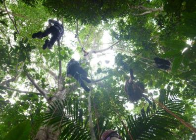 Imagen secundaria 1 - Los alumnos de Peñacorada participantes en la operación Wallacea contemplan las cataratas de Sulawesi en Indonesia.