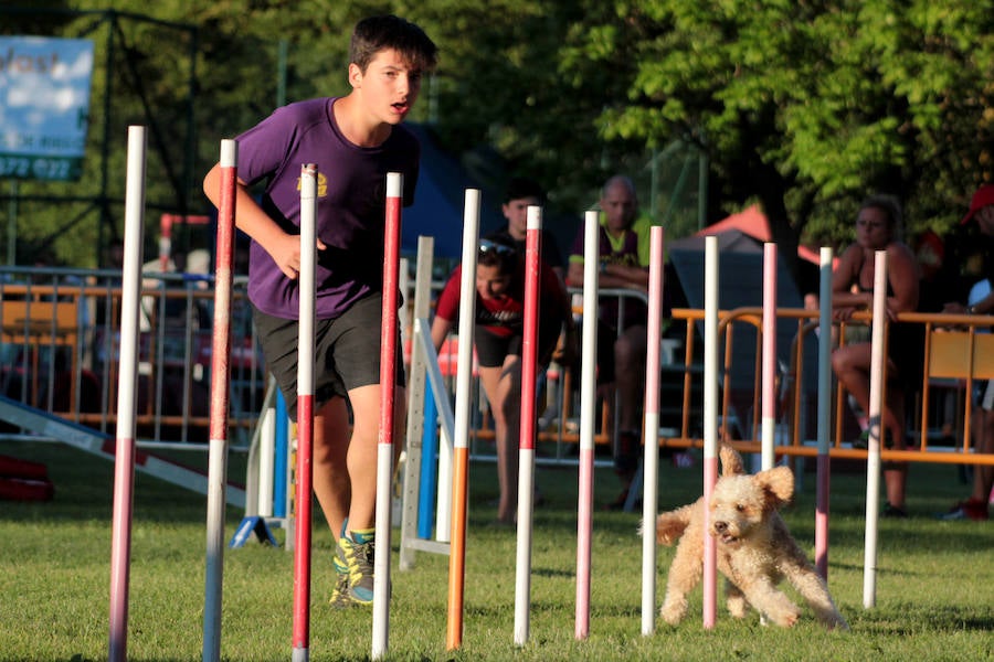 Pruebas de habilidad para perros y sus adiestradores