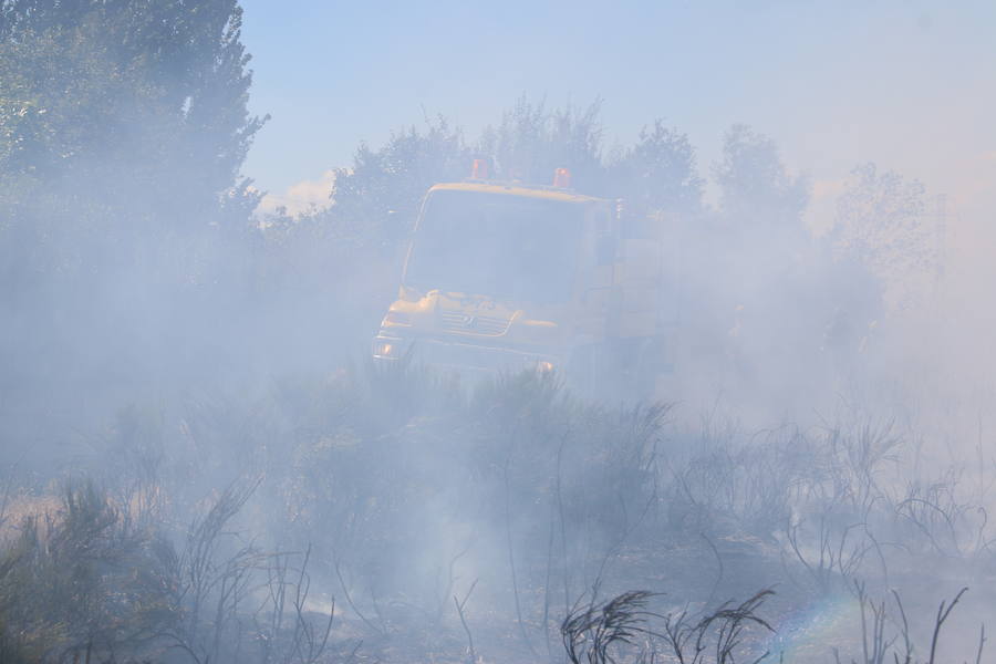 El fuego se ha originado minutos antes de las 16:21 horas en la calle de Valdeperal que conecta el Real Aéreo Club con la carretera del matadero en el polígono industrial de Trobajo del Camino, concretamente en la parte trasera de la vacía factoría de Everest, que se ha visto seriamente amenazada por las llamas