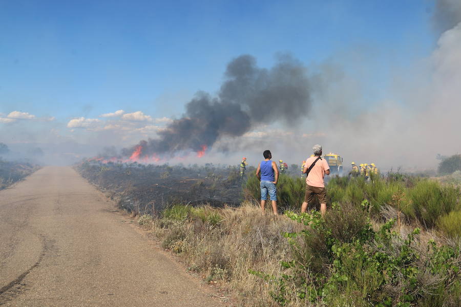 El fuego se ha originado minutos antes de las 16:21 horas en la calle de Valdeperal que conecta el Real Aéreo Club con la carretera del matadero en el polígono industrial de Trobajo del Camino, concretamente en la parte trasera de la vacía factoría de Everest, que se ha visto seriamente amenazada por las llamas