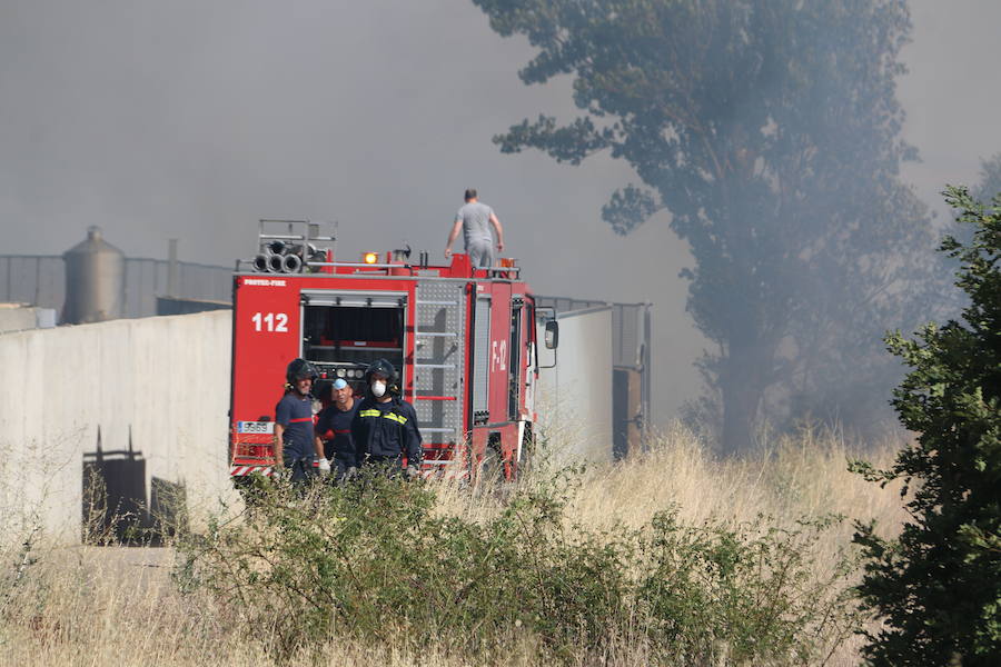 El fuego se ha originado minutos antes de las 16:21 horas en la calle de Valdeperal que conecta el Real Aéreo Club con la carretera del matadero en el polígono industrial de Trobajo del Camino, concretamente en la parte trasera de la vacía factoría de Everest, que se ha visto seriamente amenazada por las llamas