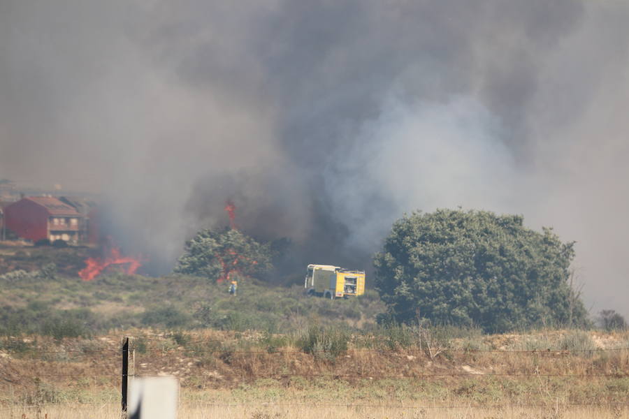 El fuego se ha originado minutos antes de las 16:21 horas en la calle de Valdeperal que conecta el Real Aéreo Club con la carretera del matadero en el polígono industrial de Trobajo del Camino, concretamente en la parte trasera de la vacía factoría de Everest, que se ha visto seriamente amenazada por las llamas