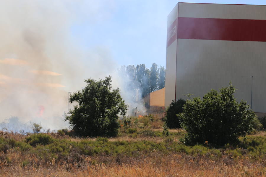 El fuego se ha originado minutos antes de las 16:21 horas en la calle de Valdeperal que conecta el Real Aéreo Club con la carretera del matadero en el polígono industrial de Trobajo del Camino, concretamente en la parte trasera de la vacía factoría de Everest, que se ha visto seriamente amenazada por las llamas