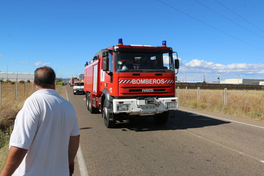 El fuego se ha originado minutos antes de las 16:21 horas en la calle de Valdeperal que conecta el Real Aéreo Club con la carretera del matadero en el polígono industrial de Trobajo del Camino, concretamente en la parte trasera de la vacía factoría de Everest, que se ha visto seriamente amenazada por las llamas