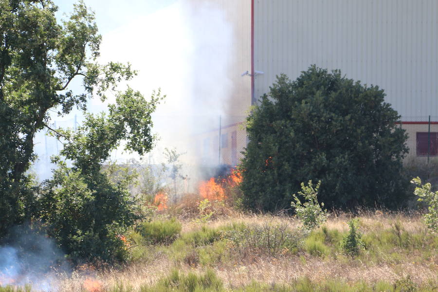 El fuego se ha originado minutos antes de las 16:21 horas en la calle de Valdeperal que conecta el Real Aéreo Club con la carretera del matadero en el polígono industrial de Trobajo del Camino, concretamente en la parte trasera de la vacía factoría de Everest, que se ha visto seriamente amenazada por las llamas