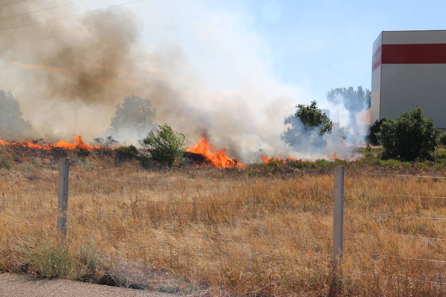 El fuego se ha originado minutos antes de las 16:21 horas en la calle de Valdeperal que conecta el Real Aéreo Club con la carretera del matadero en el polígono industrial de Trobajo del Camino, concretamente en la parte trasera de la vacía factoría de Everest, que se ha visto seriamente amenazada por las llamas