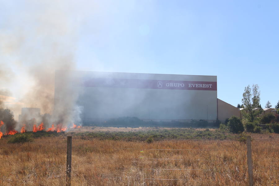 El fuego se ha originado minutos antes de las 16:21 horas en la calle de Valdeperal que conecta el Real Aéreo Club con la carretera del matadero en el polígono industrial de Trobajo del Camino, concretamente en la parte trasera de la vacía factoría de Everest, que se ha visto seriamente amenazada por las llamas