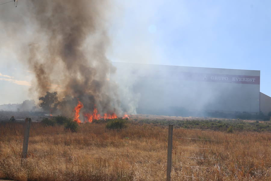 El fuego se ha originado minutos antes de las 16:21 horas en la calle de Valdeperal que conecta el Real Aéreo Club con la carretera del matadero en el polígono industrial de Trobajo del Camino, concretamente en la parte trasera de la vacía factoría de Everest, que se ha visto seriamente amenazada por las llamas